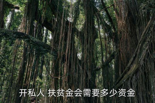中國扶貧基金會(huì)副會(huì)長,扶貧基金會(huì)副會(huì)長名單