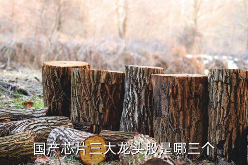 ?P龍集團,龍佰集團最新消息
