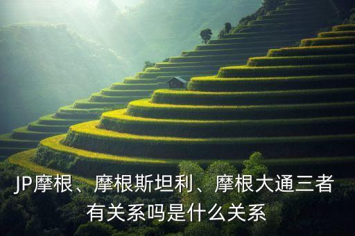 紐約國(guó)際金融服務(wù)公司,俗稱(chēng)大摩的一家國(guó)際金融服務(wù)公司