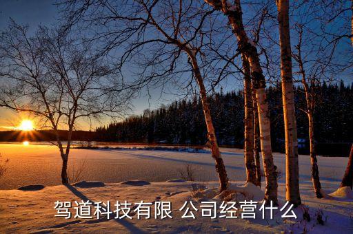 駕道科技有限 公司經(jīng)營(yíng)什么