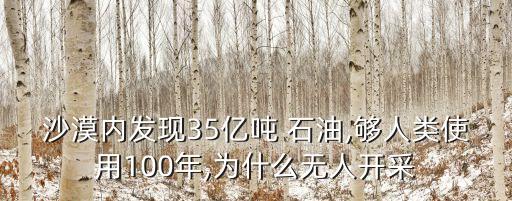 沙漠內(nèi)發(fā)現(xiàn)35億噸 石油,夠人類使用100年,為什么無(wú)人開(kāi)采