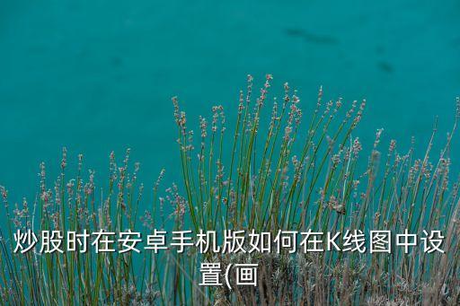 炒股時在安卓手機版如何在K線圖中設(shè)置(畫