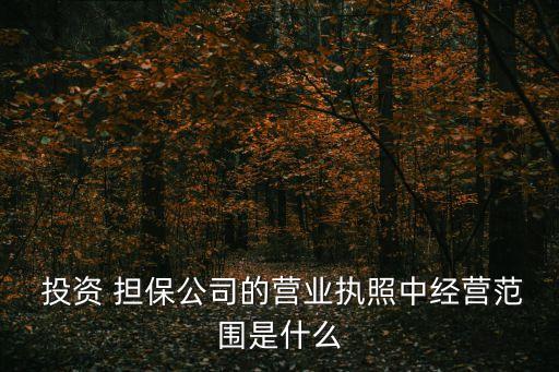  投資 擔(dān)保公司的營業(yè)執(zhí)照中經(jīng)營范圍是什么