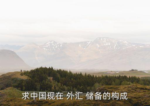 求中國現(xiàn)在 外匯 儲備的構(gòu)成