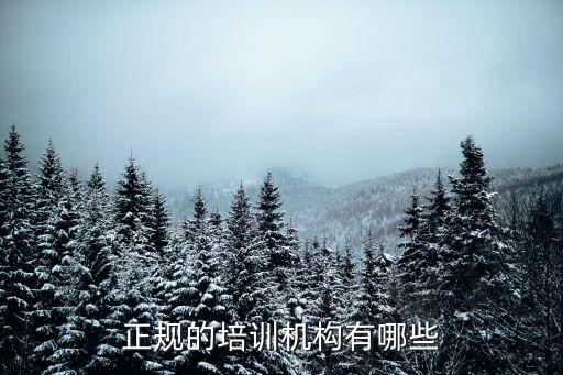 正規(guī)的培訓(xùn)機構(gòu)有哪些
