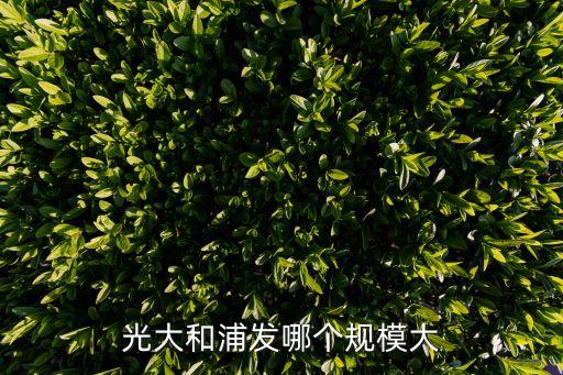 浦發(fā)銀行資金實力