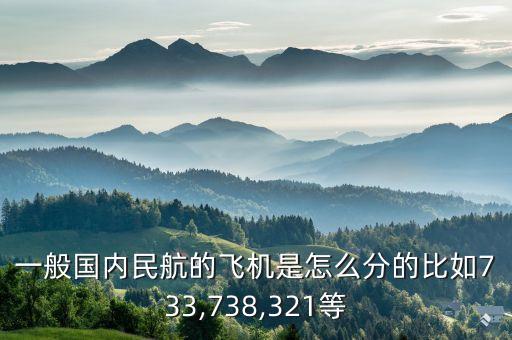 一般國內民航的飛機是怎么分的比如733,738,321等