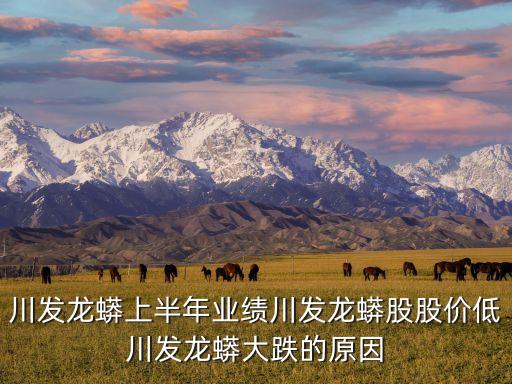 川發(fā)龍蟒上半年業(yè)績川發(fā)龍蟒股股價低川發(fā)龍蟒大跌的原因