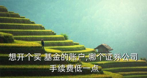 什么軟件買基金手續(xù)費最低,通過什么買基金手續(xù)費打一折