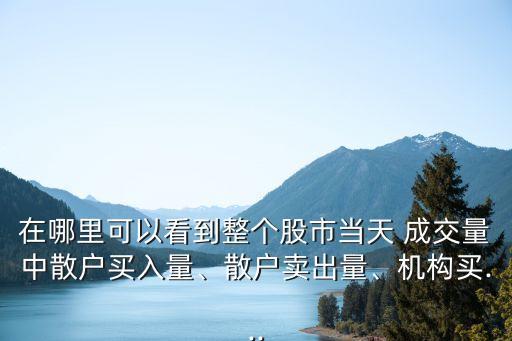 在哪里可以看到整個股市當天 成交量中散戶買入量、散戶賣出量、機構(gòu)買...