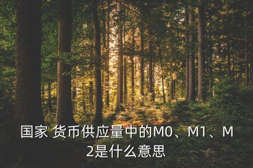國家 貨幣供應(yīng)量中的M0、M1、M2是什么意思