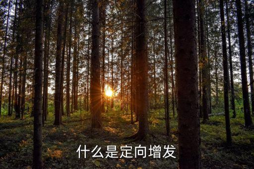 什么是定向增發(fā)