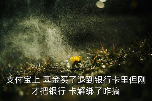 支付寶上 基金買(mǎi)了退到銀行卡里但剛才把銀行 卡解綁了咋搞