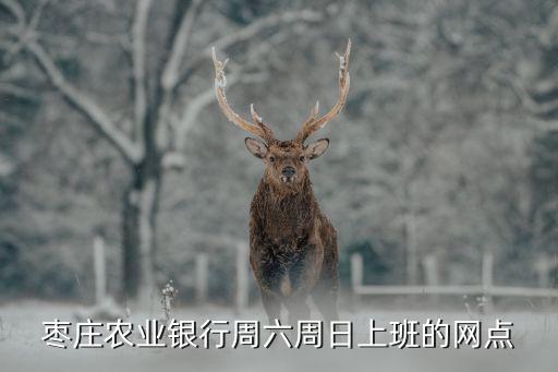 中國農(nóng)業(yè)銀行順義支行營(yíng)業(yè)部