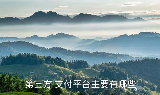  第三方 支付平臺(tái)主要有哪些