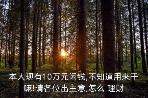 本人現(xiàn)有10萬元閑錢,不知道用來干嘛!請各位出主意,怎么 理財(cái)