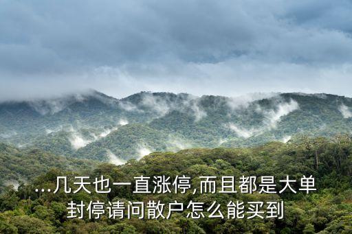 ...幾天也一直漲停,而且都是大單封停請(qǐng)問(wèn)散戶怎么能買到