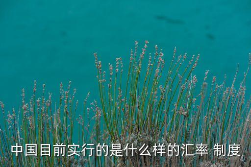 中國(guó)目前實(shí)行的是什么樣的匯率 制度