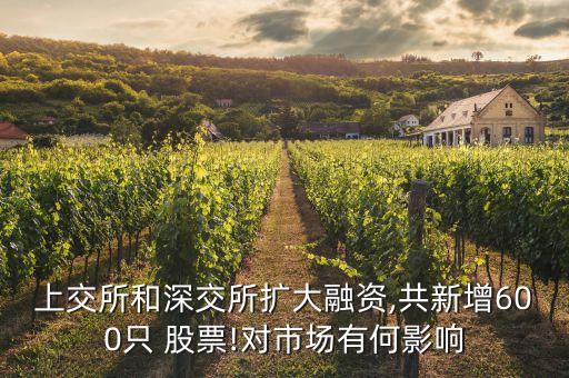 上交所和深交所擴(kuò)大融資,共新增600只 股票!對市場有何影響