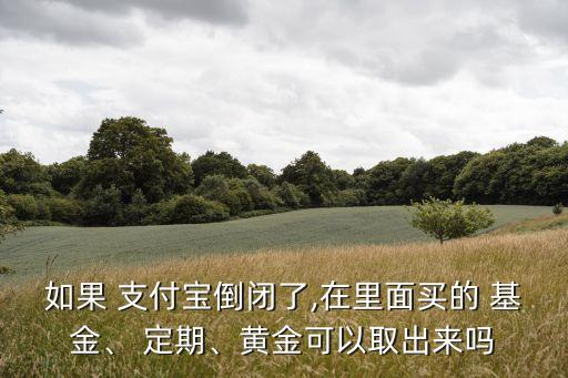 如果 支付寶倒閉了,在里面買的 基金、 定期、黃金可以取出來(lái)嗎