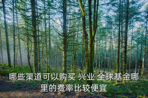 哪些渠道可以購(gòu)買 興業(yè) 全球基金哪里的費(fèi)率比較便宜