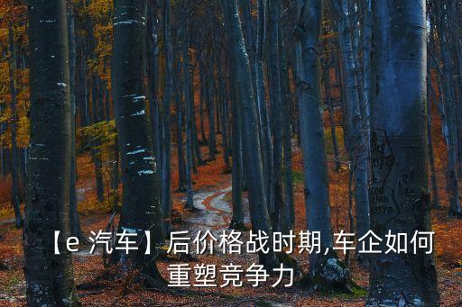 【e 汽車】后價(jià)格戰(zhàn)時(shí)期,車企如何重塑競爭力