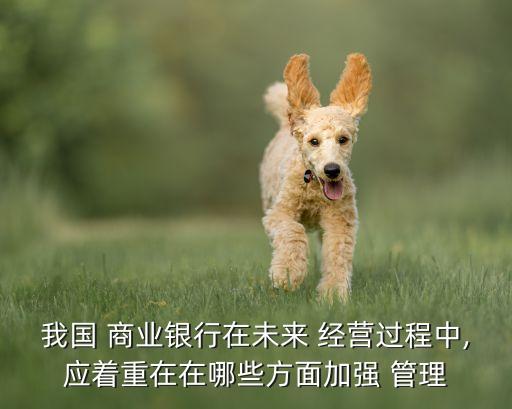 我國(guó) 商業(yè)銀行在未來(lái) 經(jīng)營(yíng)過(guò)程中,應(yīng)著重在在哪些方面加強(qiáng) 管理