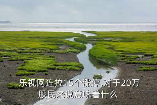  樂視網(wǎng)連拉15個(gè)漲停,對(duì)于20萬(wàn)股民來(lái)說(shuō)意味著什么