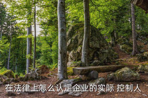 實(shí)際控制公司,gp和lp誰(shuí)實(shí)際控制公司