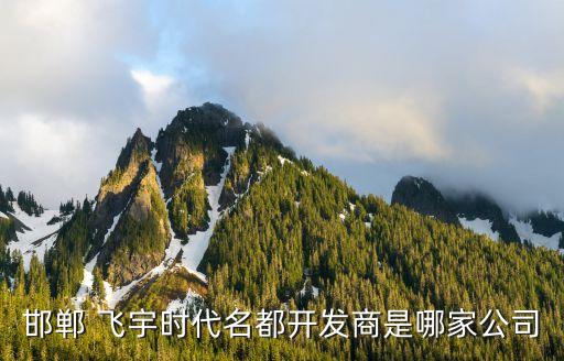 邯鄲 飛宇時(shí)代名都開發(fā)商是哪家公司