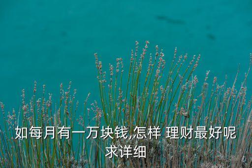 如每月有一萬(wàn)塊錢(qián),怎樣 理財(cái)最好呢求詳細(xì)