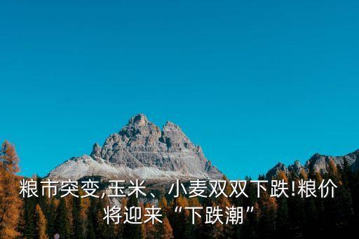 糧市突變,玉米、小麥雙雙下跌!糧價將迎來“下跌潮”