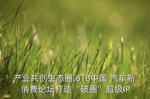 中國汽車消費藍(lán)海市場洞察白皮書
