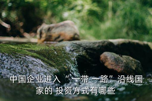 中國(guó)企業(yè)進(jìn)入“ 一帶 一路”沿線(xiàn)國(guó)家的 投資方式有哪些
