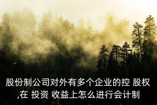 股份制公司對外有多個企業(yè)的控 股權(quán),在 投資 收益上怎么進(jìn)行會計制