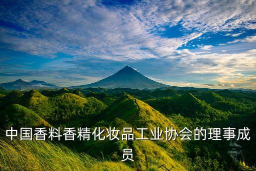 中國香料香精化妝品工業(yè)協(xié)會的理事成員
