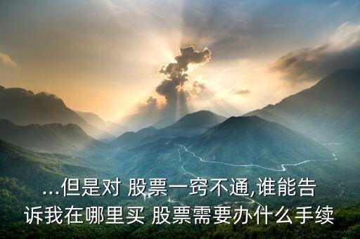 我想買(mǎi)一個(gè)公司一半的股票在哪買(mǎi)