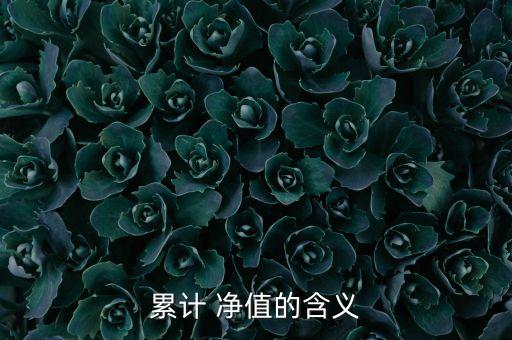 累計(jì) 凈值的含義