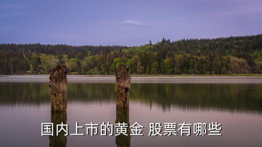 預光金鉛股票,豫園金鉛股票