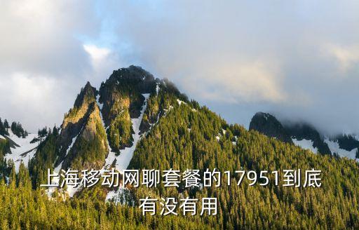  上海移動網聊套餐的17951到底有沒有用