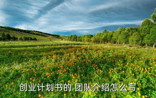 創(chuàng)業(yè)計劃書的 團(tuán)隊介紹怎么寫