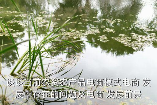 談?wù)劗?dāng)前農(nóng)資農(nóng)產(chǎn)品電商模式電商 發(fā)展中存在的問(wèn)題及電商 發(fā)展前景