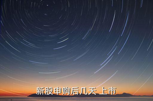 2日上市的股票,中國(guó)第一批上市股票