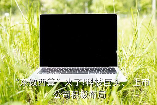 “東數(shù)西算”火了!科技巨頭、 上市 公司積極布局