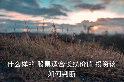 什么樣的 股票適合長(zhǎng)線(xiàn)價(jià)值 投資該如何判斷