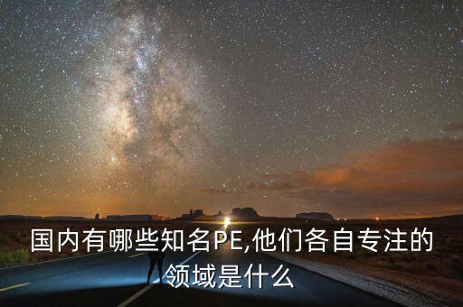 國(guó)內(nèi)有哪些知名PE,他們各自專注的領(lǐng)域是什么
