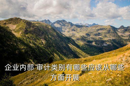企業(yè)內(nèi)部 審計(jì)類別有哪些應(yīng)該從哪些方面開展