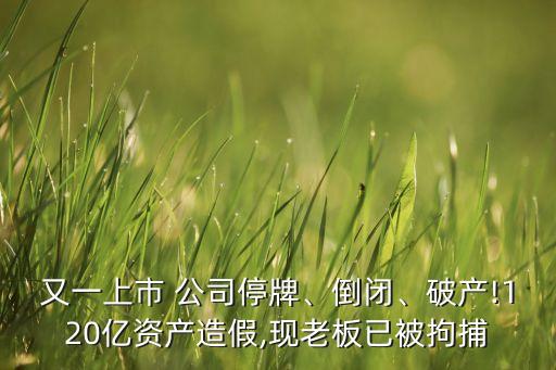 又一上市 公司停牌、倒閉、破產(chǎn)!120億資產(chǎn)造假,現(xiàn)老板已被拘捕