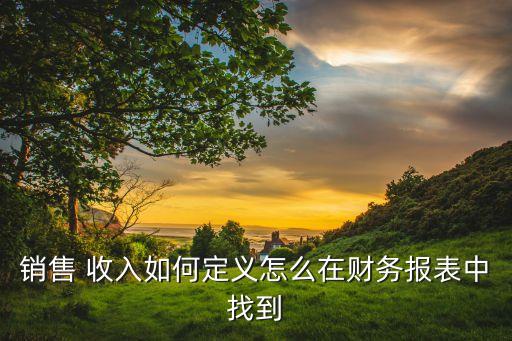 銷售 收入如何定義怎么在財(cái)務(wù)報(bào)表中找到