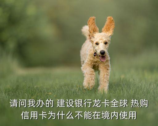 請(qǐng)問我辦的 建設(shè)銀行龍卡全球 熱購信用卡為什么不能在境內(nèi)使用